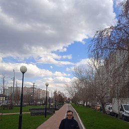 ���� �����, ���������, 33 ���� - ��������� 3 ���� 2023