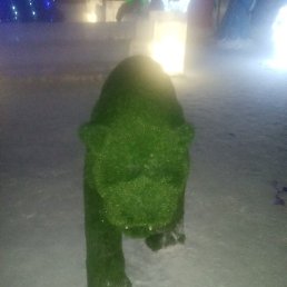 �����, �����������, 31 ���