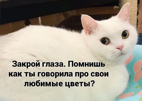 ..