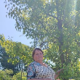 �������, �������, 67 ���