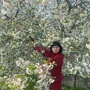 ���� �������, ������, 55 ��� - ��������� 23 ������� 2023