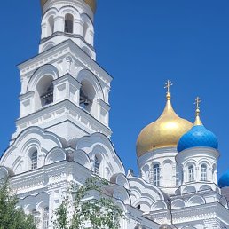 ���� �����, ���������, 61 ��� - ��������� 31 ����� 2023