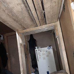 Burhonov Shohruh, ������, 21 ���