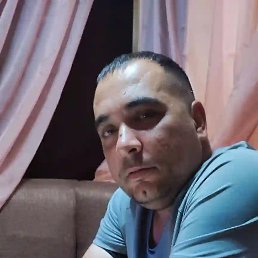 �����, ������, 41 ���