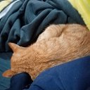 ���� ���������, ����, 45 ��� - ��������� 15 ������� 2023