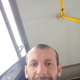 ������, �����, 41 ���