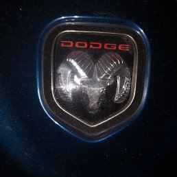 ����, �������, 43 ����