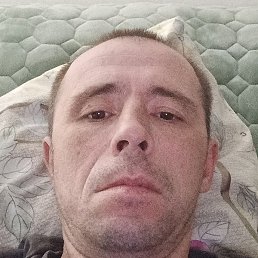 �������, ���������, 41 ���