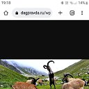 ���� ������, �����������, 29 ��� - ��������� 2 ������� 2023 � ������ ���� ����������