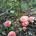 ���� �����, �������, 54 ���� - ��������� 14 �������� 2023 � ������ ������ ��������