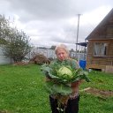 ���� �������, ������ - ��������� 28 �������� 2023 � ������ ���� ���������