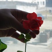 ������, 40 ���, ������