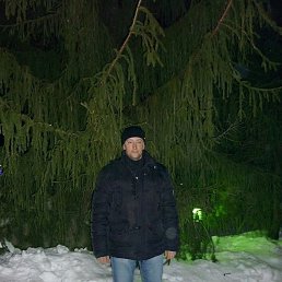 ������, ������, 42 ����