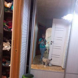 �������, ���������, 32 ����