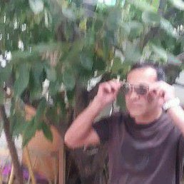 ����, �������, 53 ����