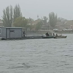 ����, ������, 37 ���