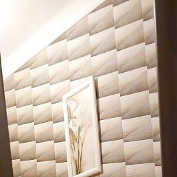 �, �����, 44 ����