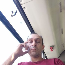 �������, �����-���������, 49 ���