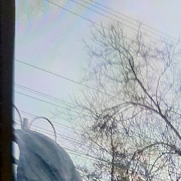 �����, �����, 47 ���