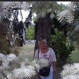 �������, �������, 66 ���