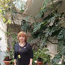 ���� �����, �����-���������, 59 ��� - ��������� 13 ������� 2023 � ������ ���� ����������