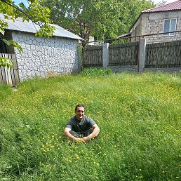 Iroii, �����������, 37 ���