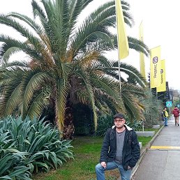 �������, �����-���������, 42 ����