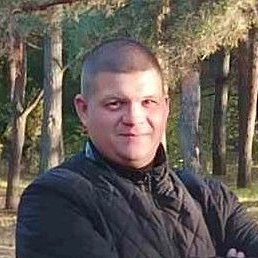 ������, ������ ��������, 40 ���