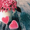  Hjvfyhjvfy1988, , 60  -  17  2023    