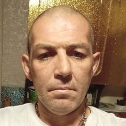 ������, �������, 41 ���