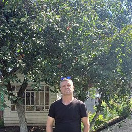 ����, �������, 49 ���