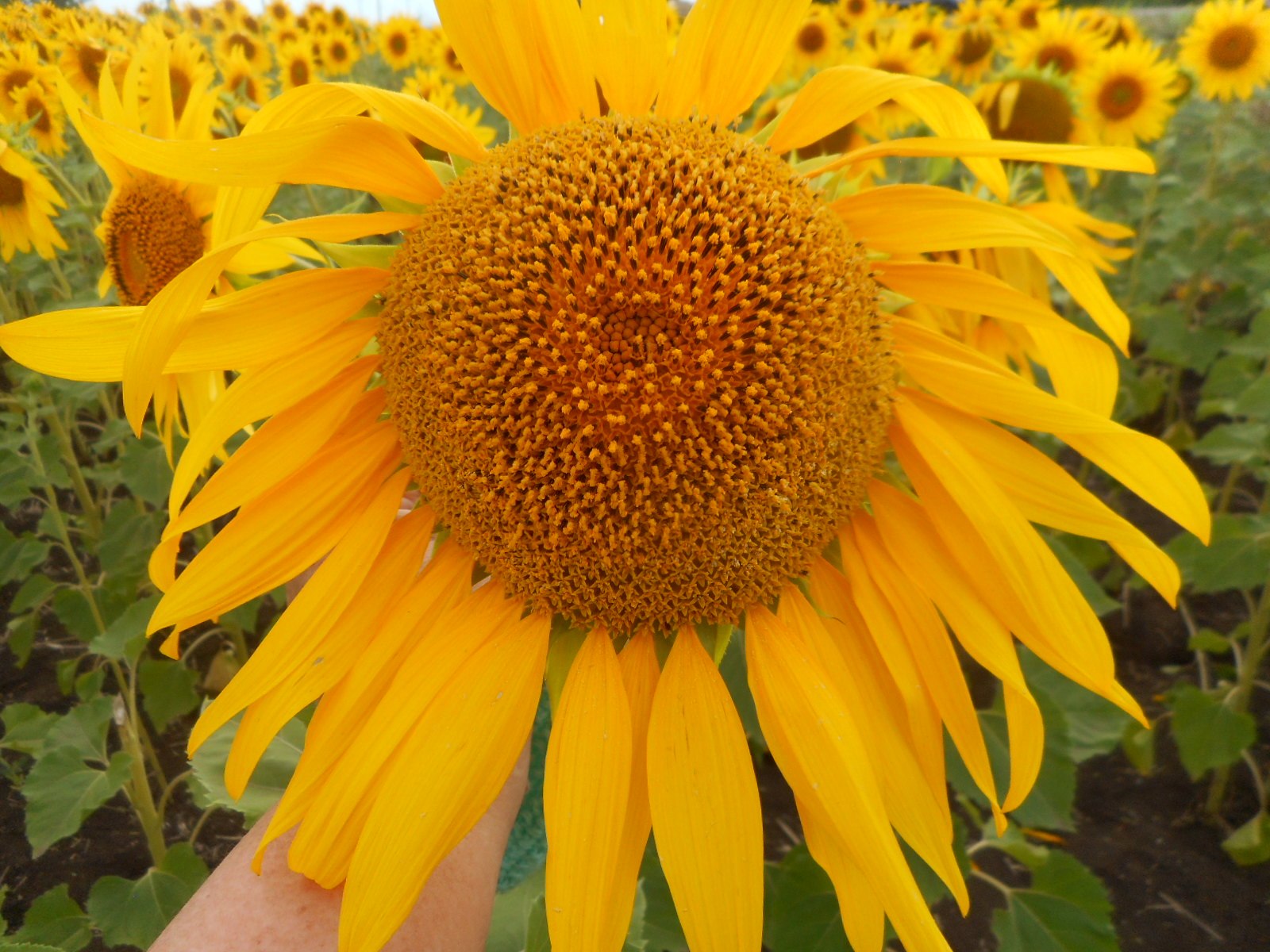  - 30  2023  16:20 - 3