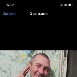 �����, ������, 41 ���