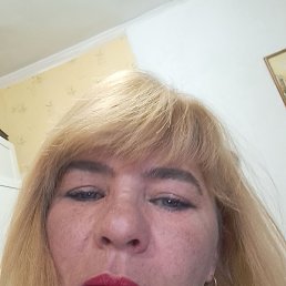 , 48, 