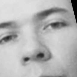 �������, ������, 47 ���