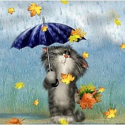 ����, �������, 68 ���