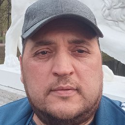 ������, �����-���������, 48 ���