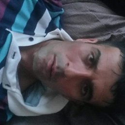 �����, �������, 40 ���