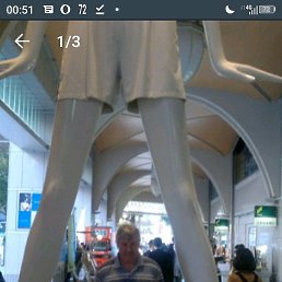 ������, ���������, 65 ���