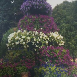 ���� �����, ������, 51 ��� - ��������� 9 ���� 2023