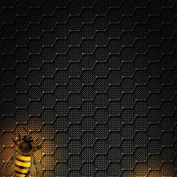 ����, �����������, 50 ���