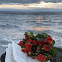 ���� ������, ������, 49 ��� - ��������� 11 ������ 2023