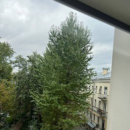 Kkk, ������, 36 ���