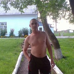 �����, ������, 41 ���