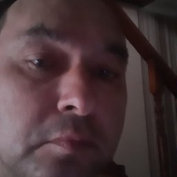 ������, ���������, 50 ���