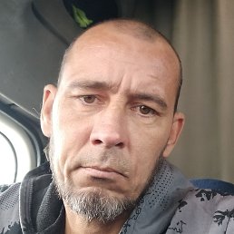 �������, ������, 46 ���