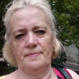 �������, ���������, 66 ���