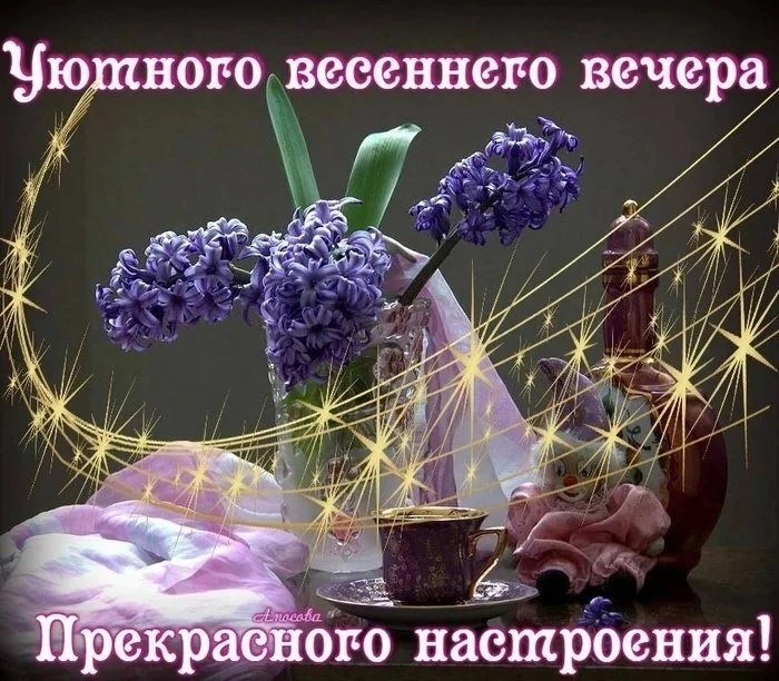   ,    . - 17  2023  18:49