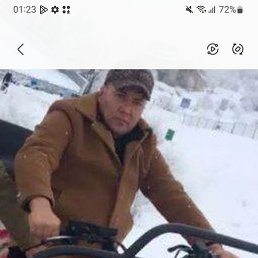 ����� ��������, �����, 44 ����