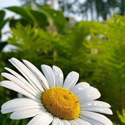 ���, �����, 38 ���